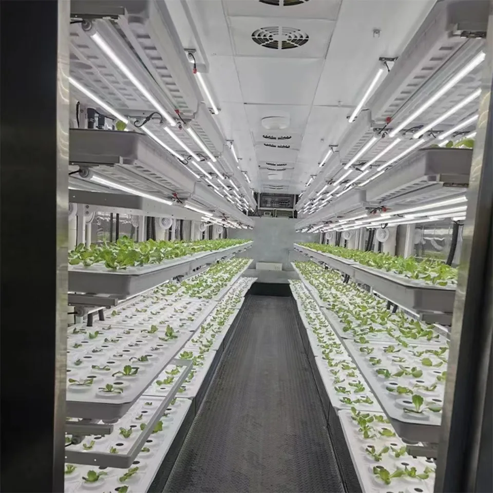 40ft Container Leafy Green Growing System for Hydroponic Urban Farming