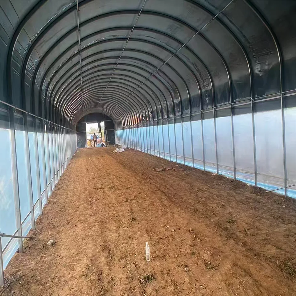 Arched Membrane Vegetable Greenhouse 6-10m Span for Commercial Crop Production