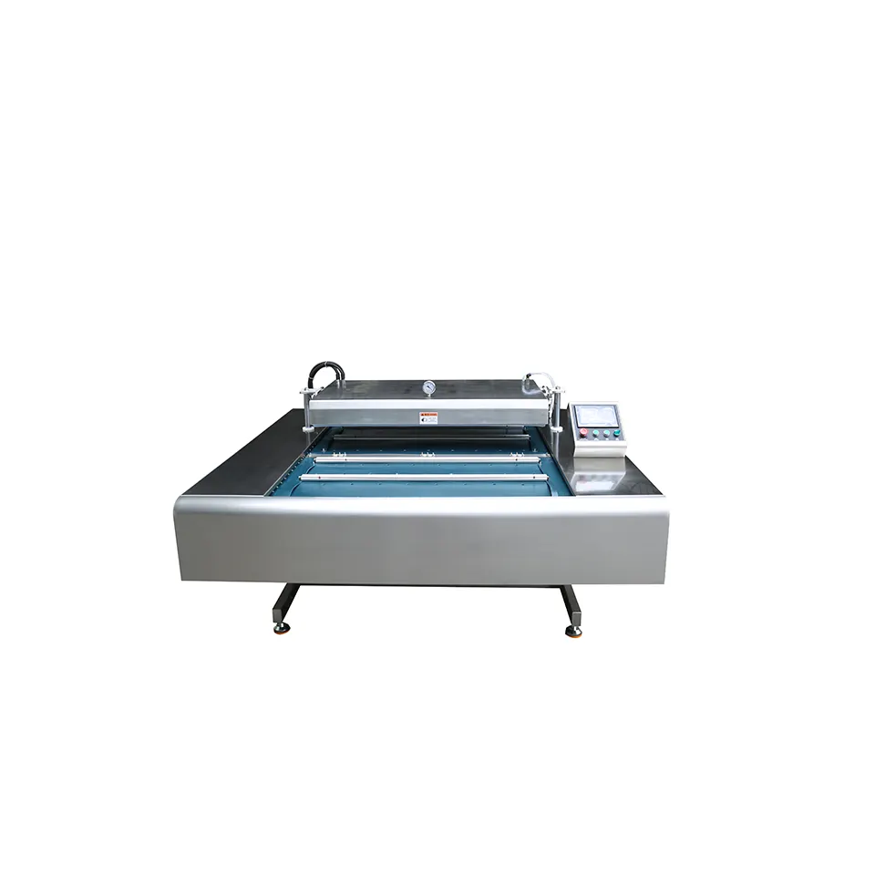 DZ-600 Double Sealed Continuous Belt Vacuum Packaging Machine
