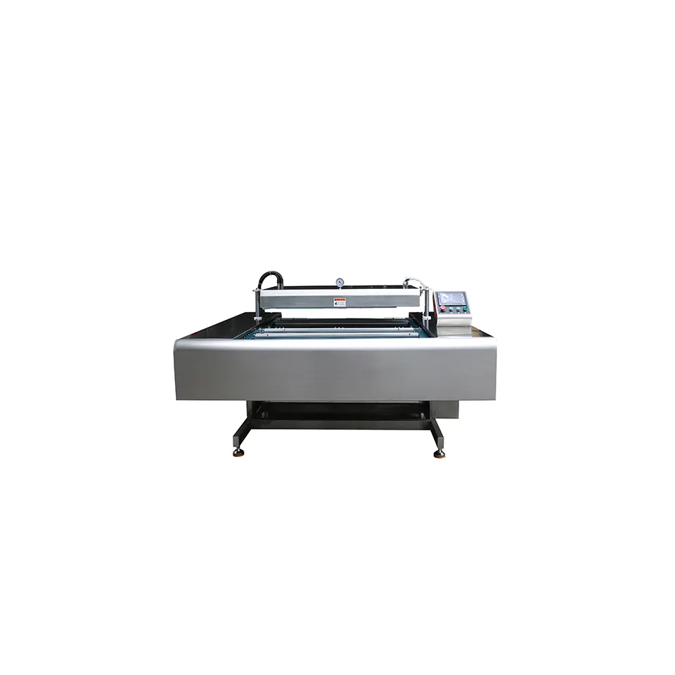 DZ-600 Double Sealed Continuous Belt Vacuum Packaging Machine