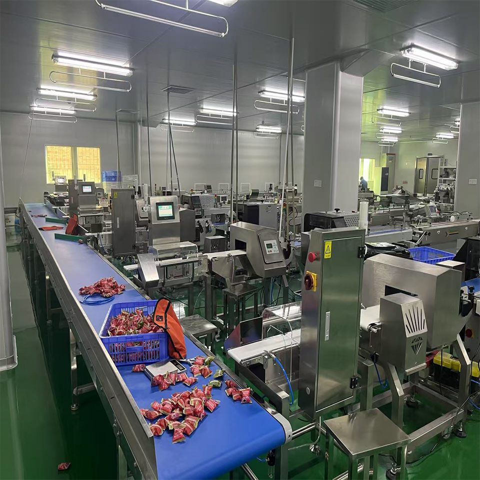 RD-A300 Automatic Checkweigher-10-3000g Bagged Food Products-SUS304 Food Grade