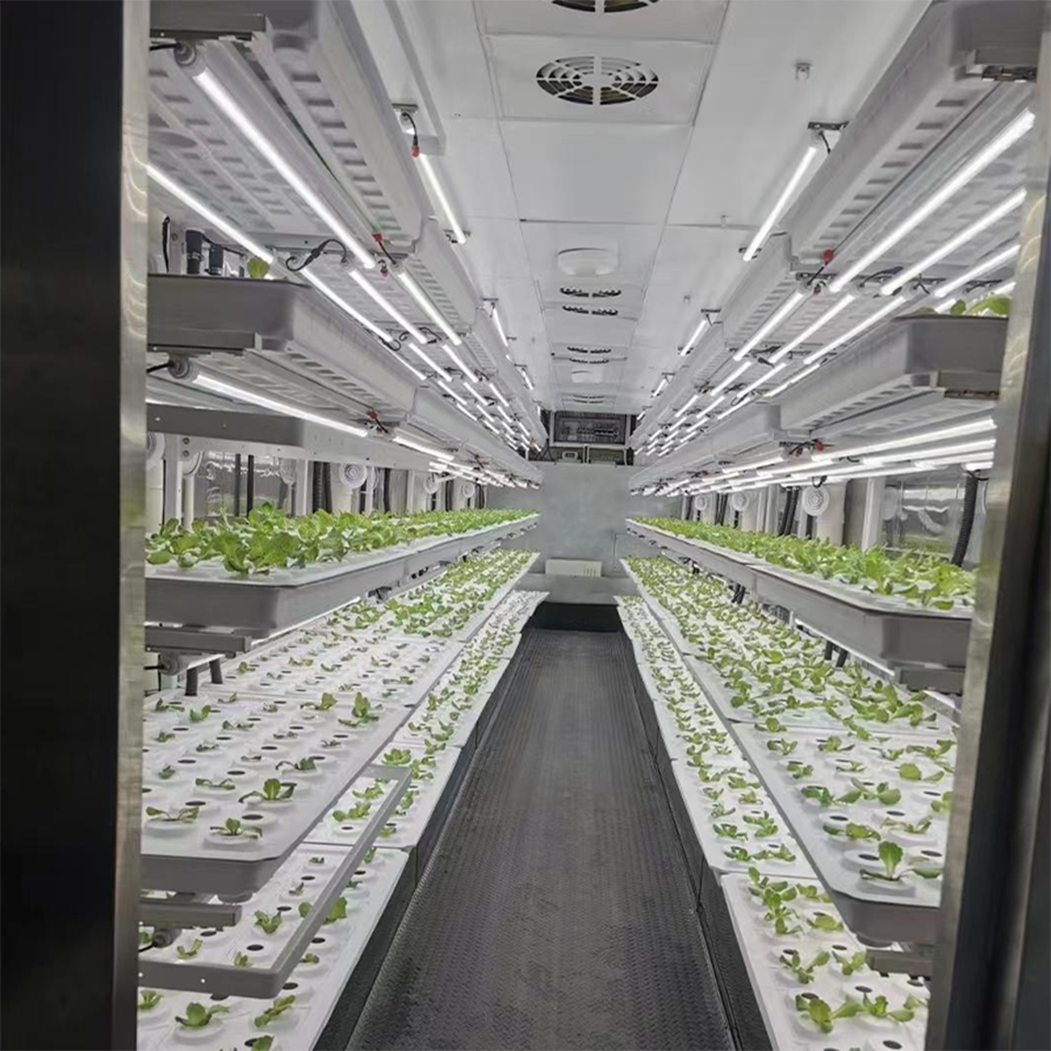 40ft Container Leafy Green Growing System for Hydroponic Urban Farming
